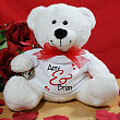 Personalized Valentine Teddy Bear 896144